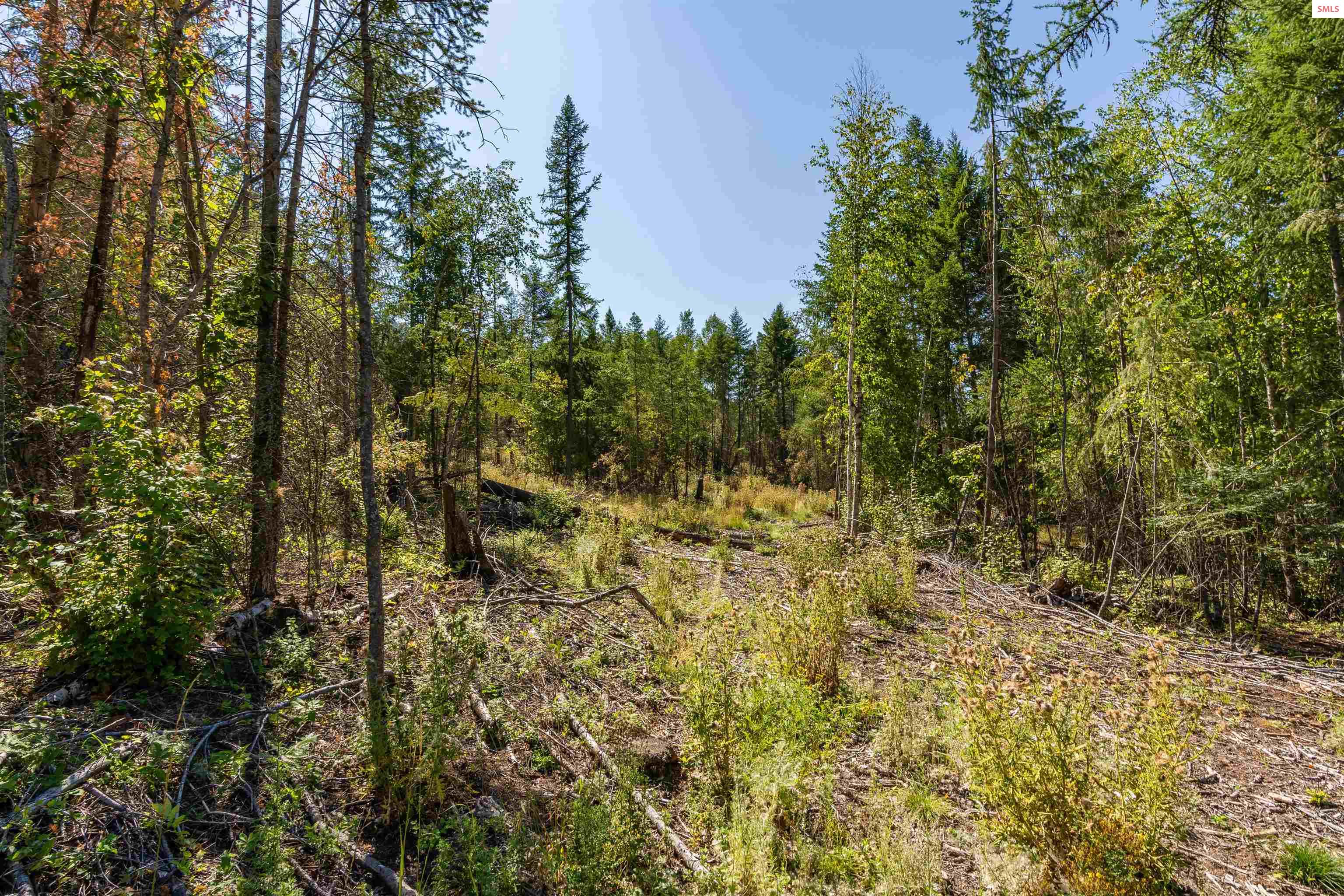 Nna Diamond Road Bonners Ferry, ID 83805 - Photo 26 of 36