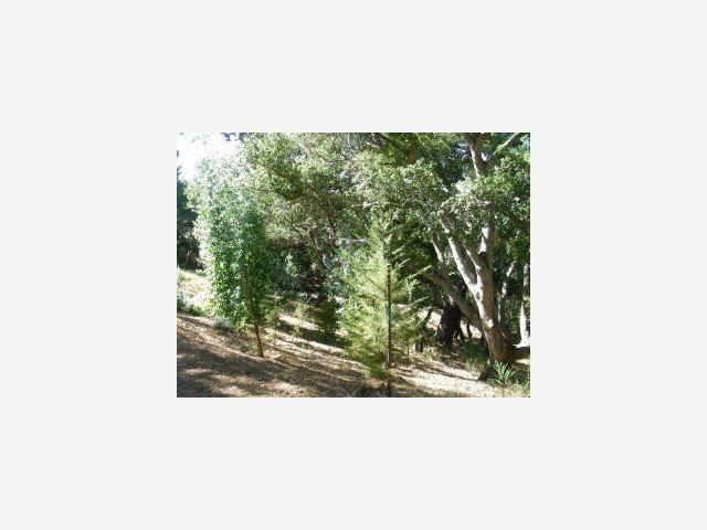 8 Coastlands Road Big Sur, CA 93920 - Photo 3 of 7 Gallery Image 3