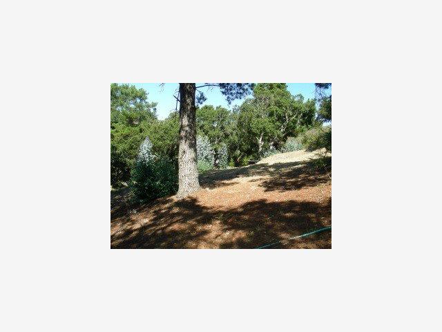 8 Coastlands Road Big Sur, CA 93920 - Photo 4 of 7 Gallery Image 4
