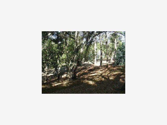 8 Coastlands Road Big Sur, CA 93920 - Photo 6 of 7 Gallery Image 6