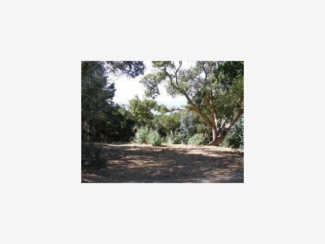 8 Coastlands Road Big Sur, CA 93920 - Photo 7 of 7 Gallery Image 7