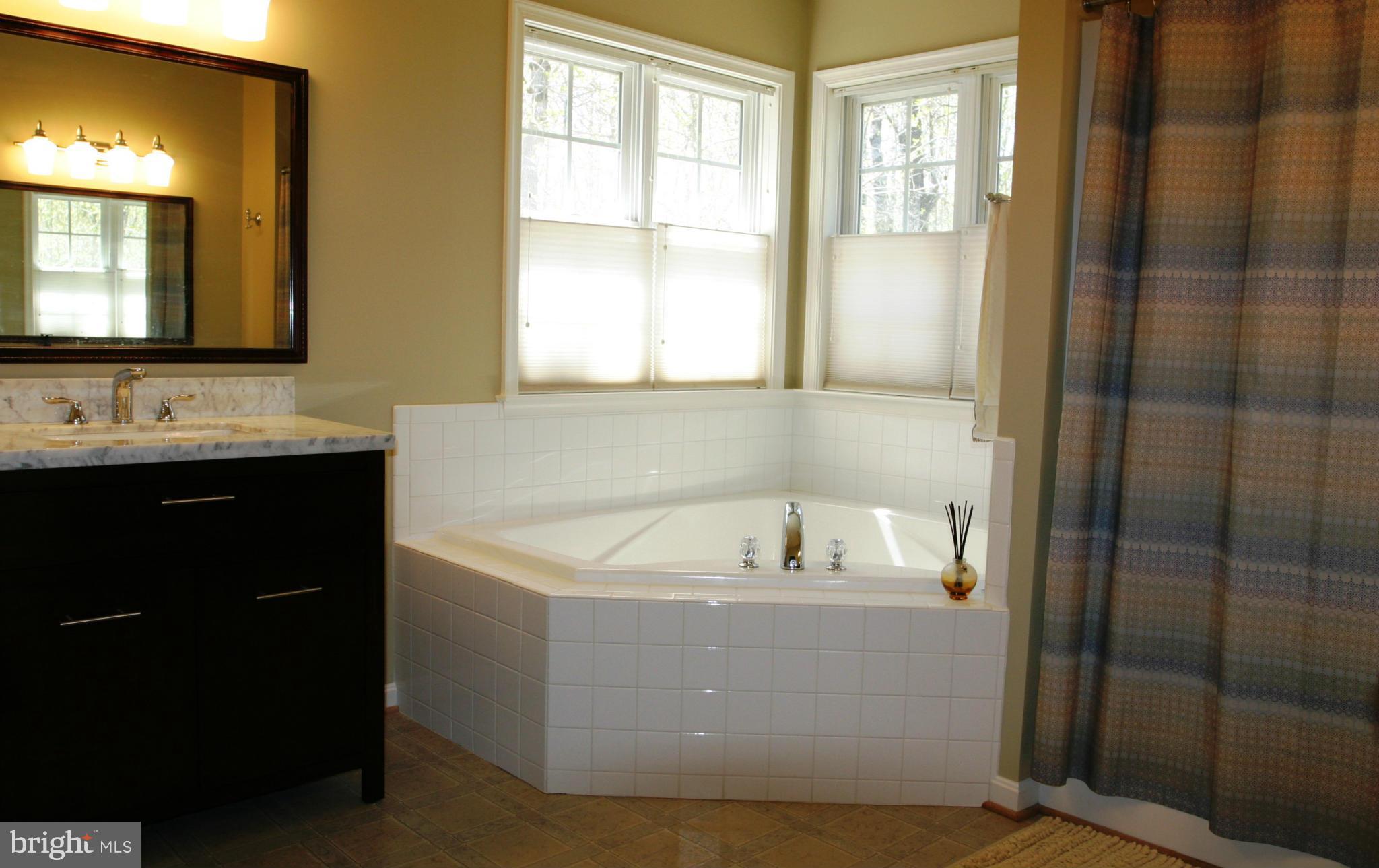 12550 Elk Run Road Midland, VA 22728 - Photo 13 of 30 Bath (Master)