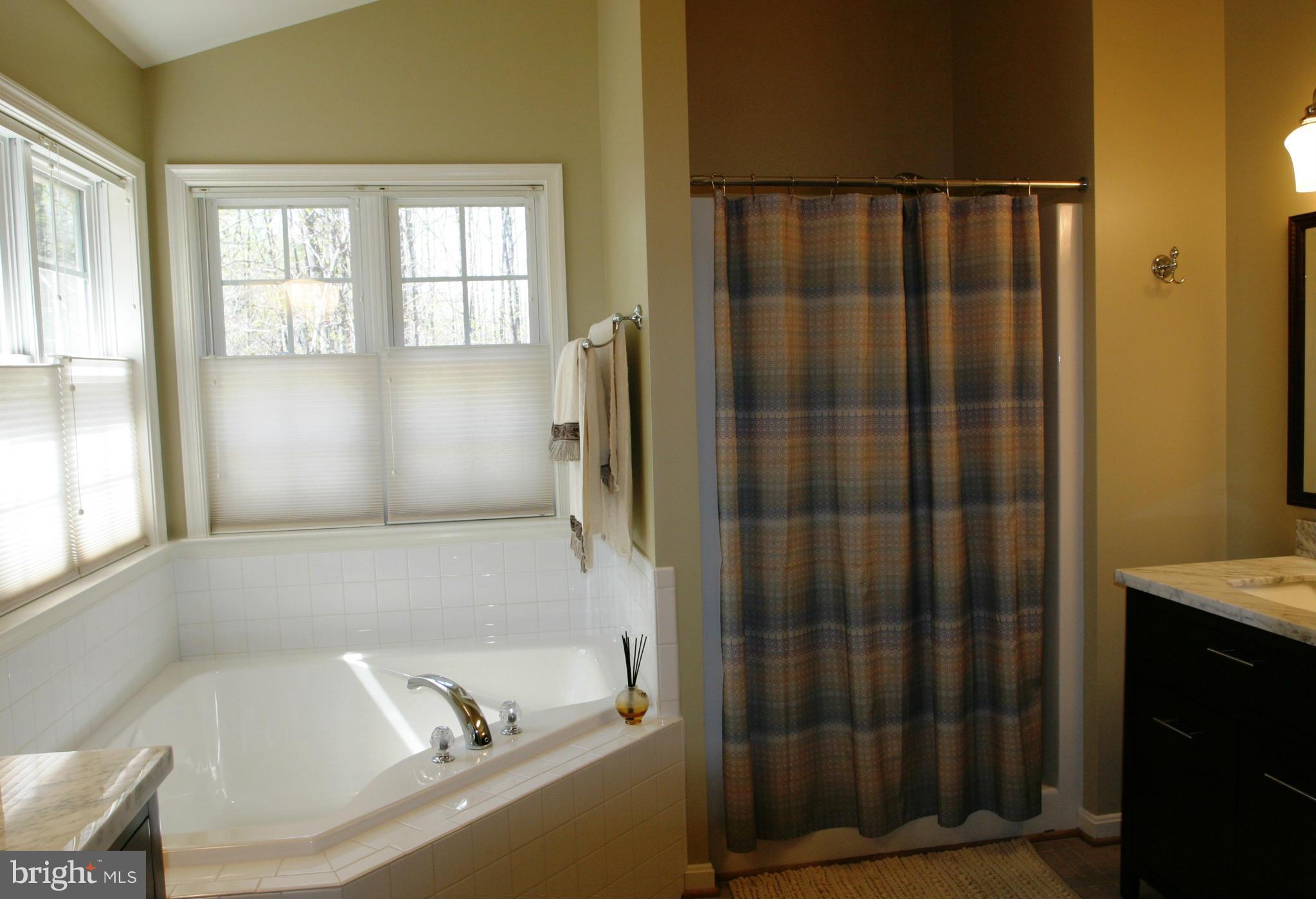 12550 Elk Run Road Midland, VA 22728 - Photo 14 of 30 Bath (Master)