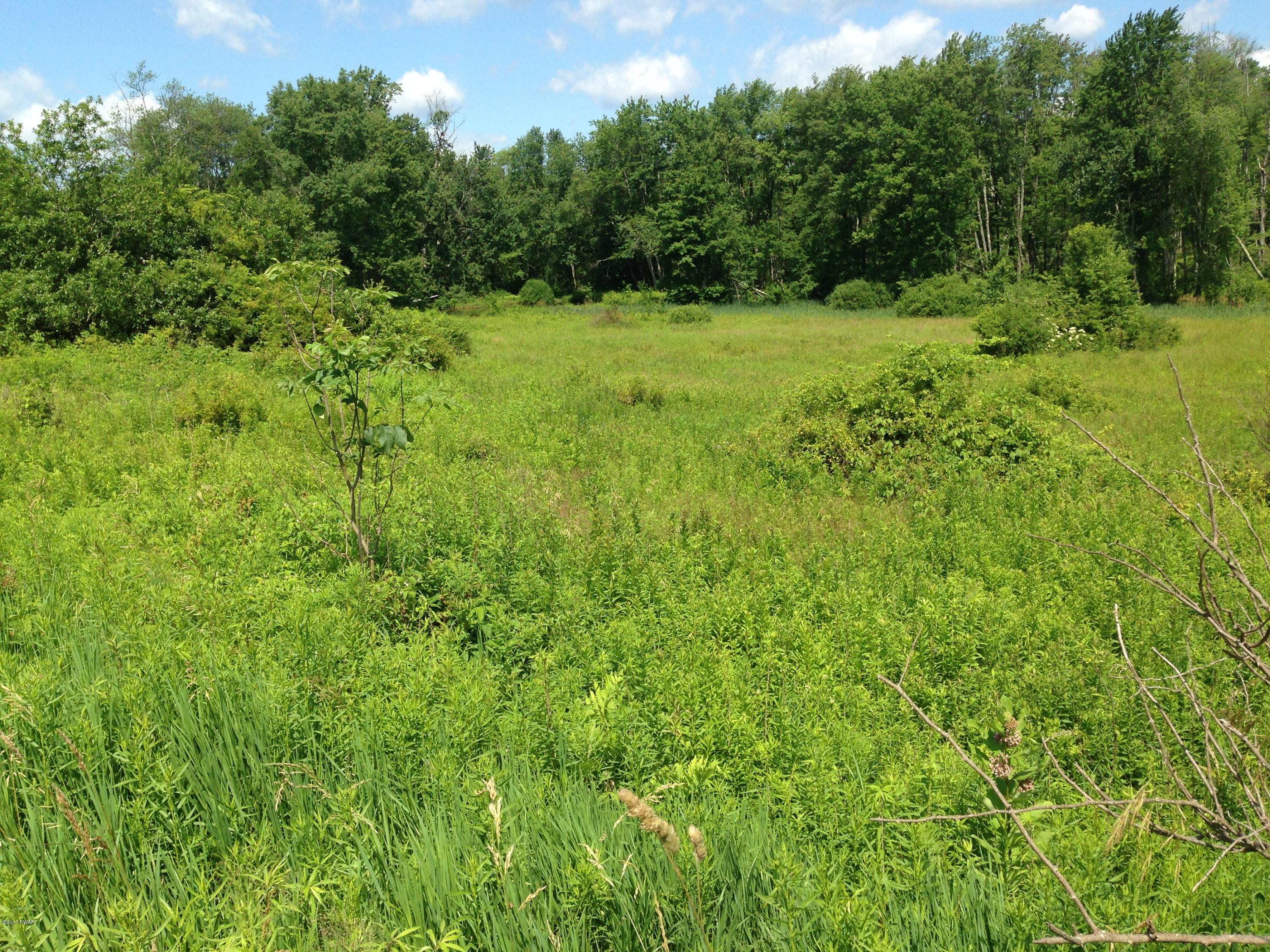 15 Adams Pond Road Hawley, PA 18428 - Photo 2 of 2