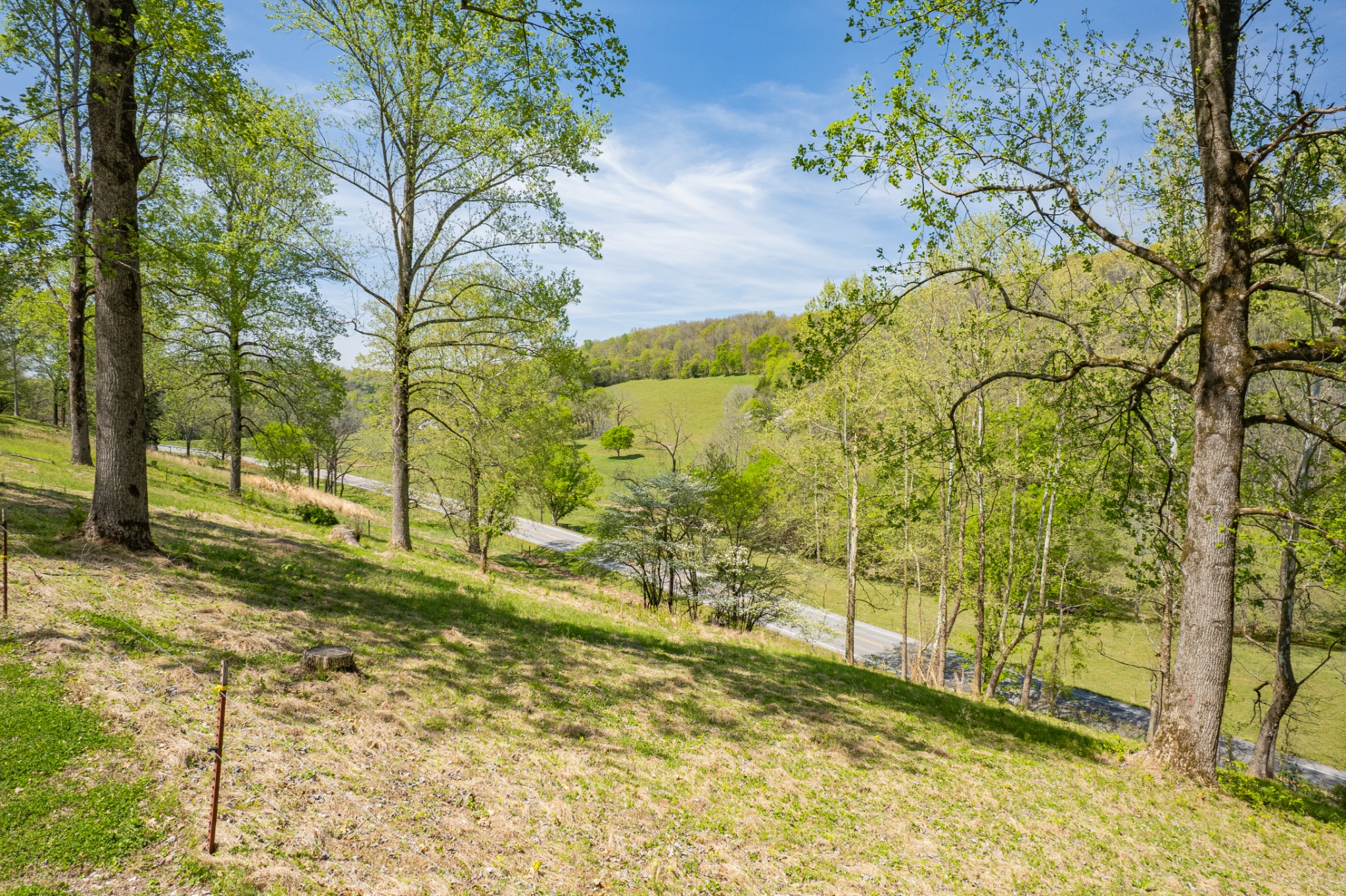 8039 Campbellsville Road Pulaski, TN 38478 - Photo 86 of 100