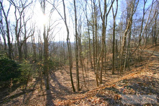 White Tail Ridge Road Boone, NC 28607 - Photo 1 of 1 Gallery Image 1
