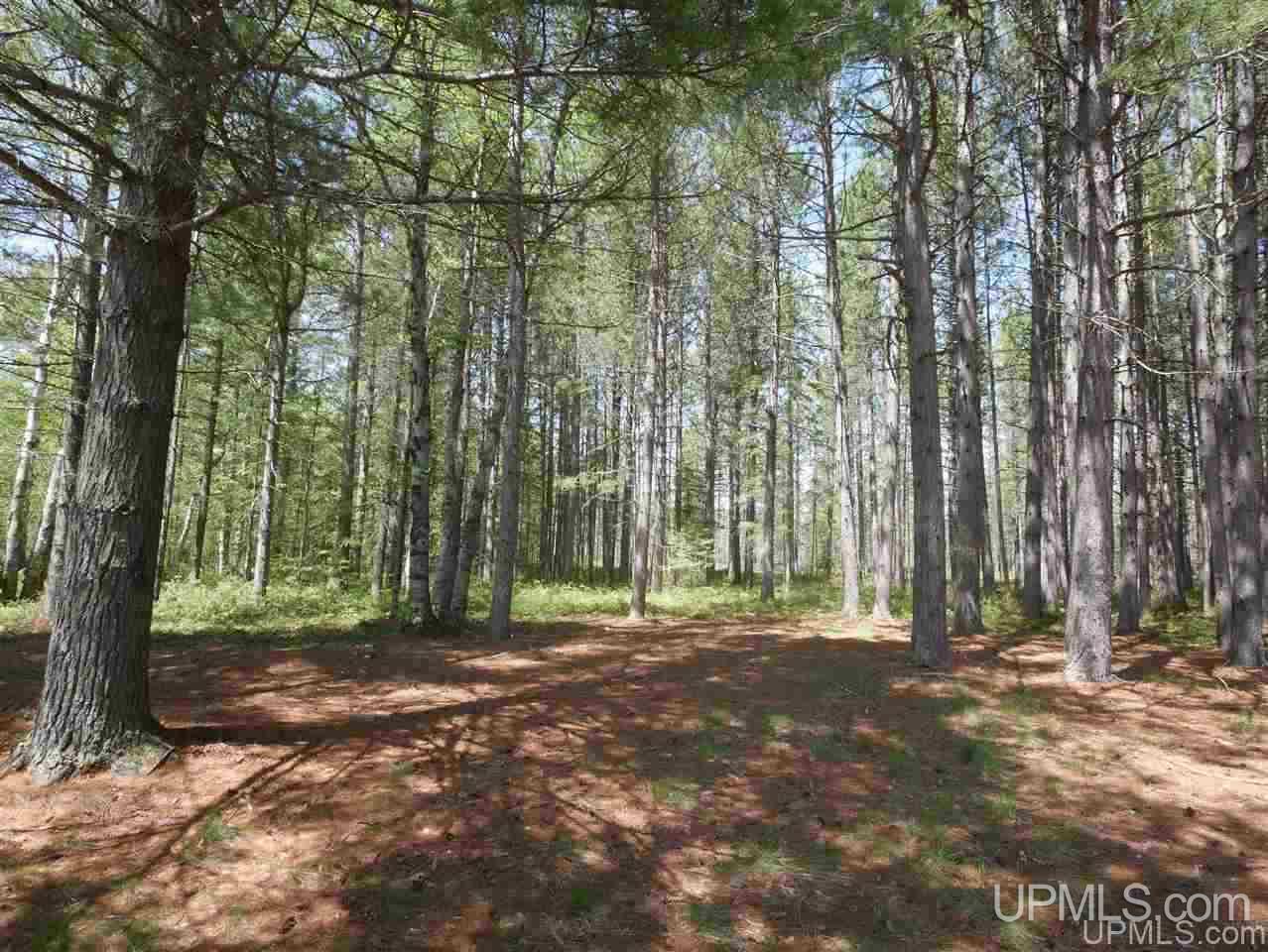 33985 Rice Landing Rd Lake Lake Linden, MI 49945 - Photo 21 of 30