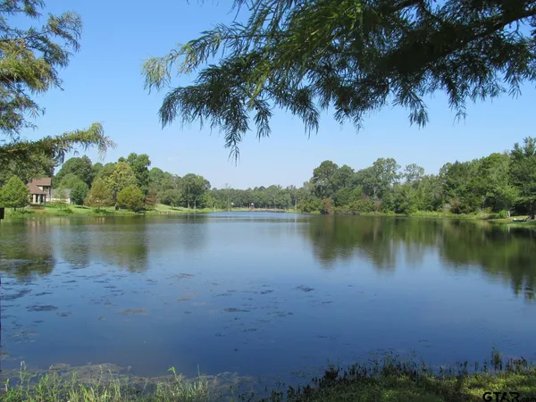 a view of a lake in a forest