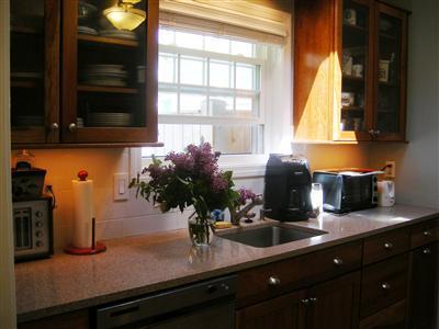 50 Oxner Road Centerville, MA 02632 - Photo 3 of 12 a kitchen with a sink and potted plant