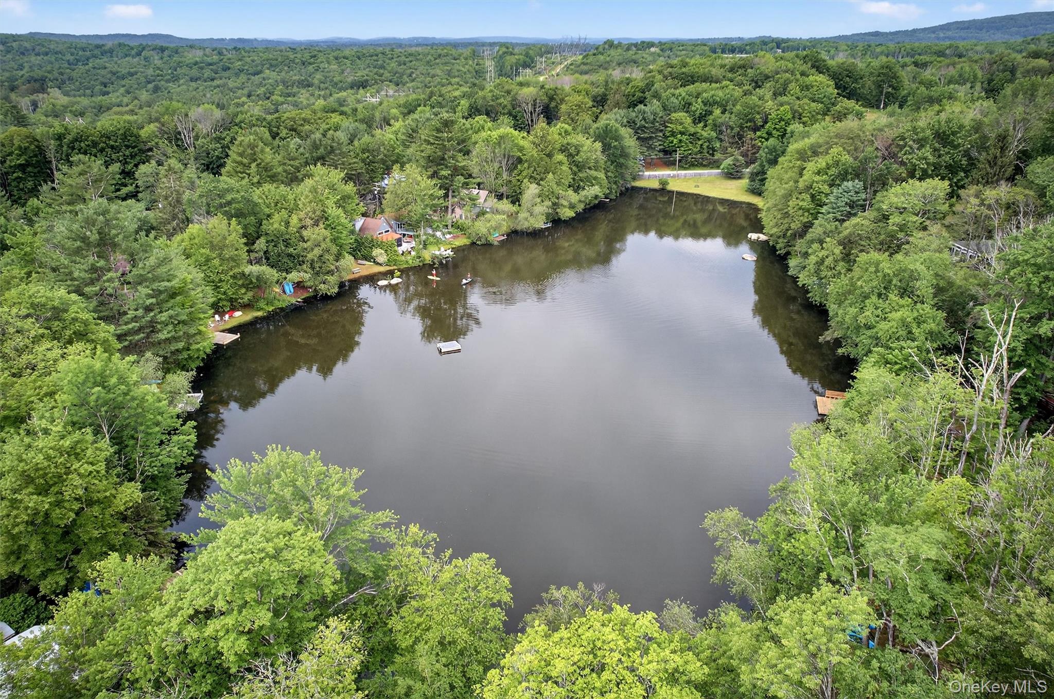 7 Indian Lake Road Ferndale, NY 12734 - Photo 7 of 37