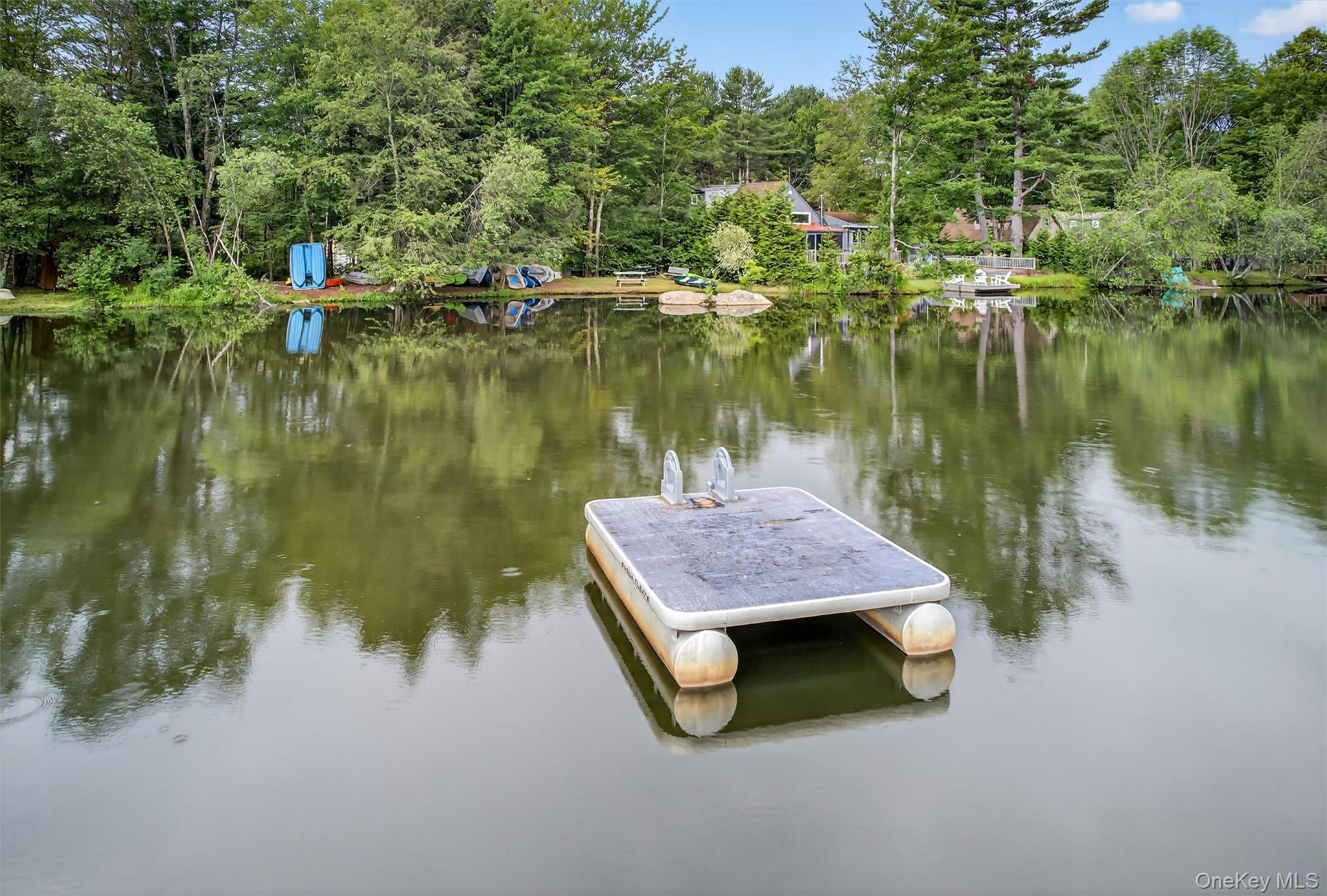 7 Indian Lake Road Ferndale, NY 12734 - Photo 8 of 37