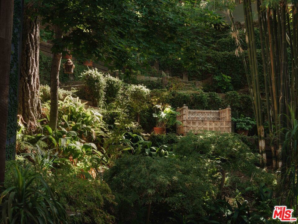 2563 Nichols Canyon Road Los Angeles, CA 90046 - Photo 16 of 32 a view of outdoor space and yard