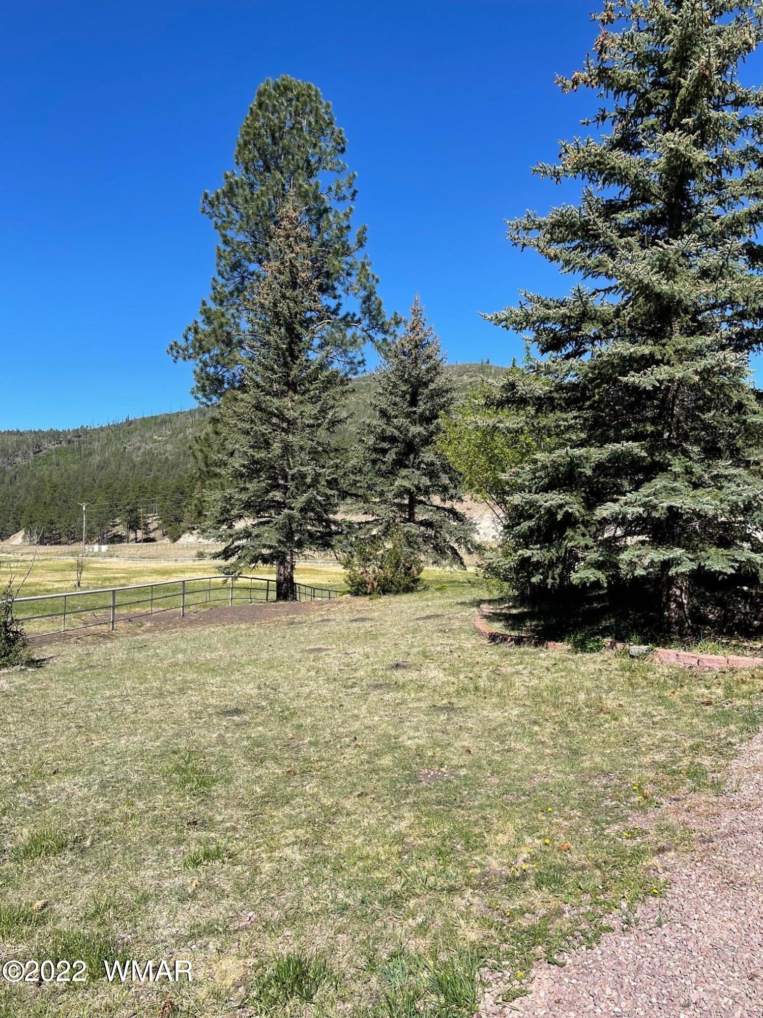 7 County Road Alpine, AZ 85920 - Photo 3 of 38