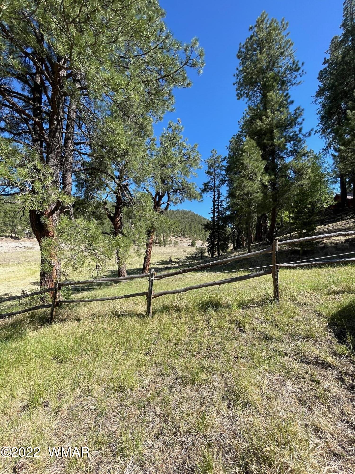 7 County Road Alpine, AZ 85920 - Photo 9 of 38
