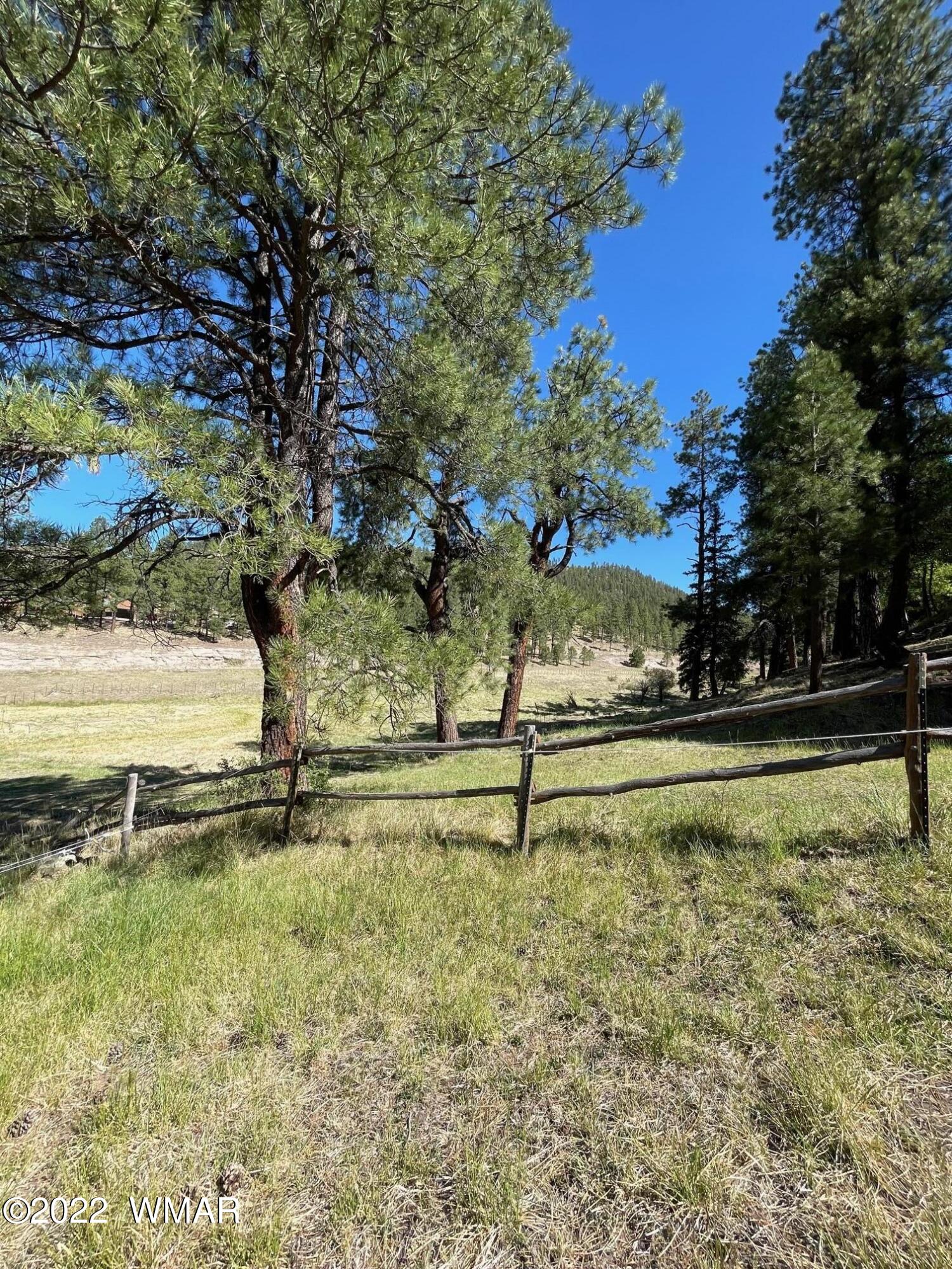 7 County Road Alpine, AZ 85920 - Photo 10 of 38