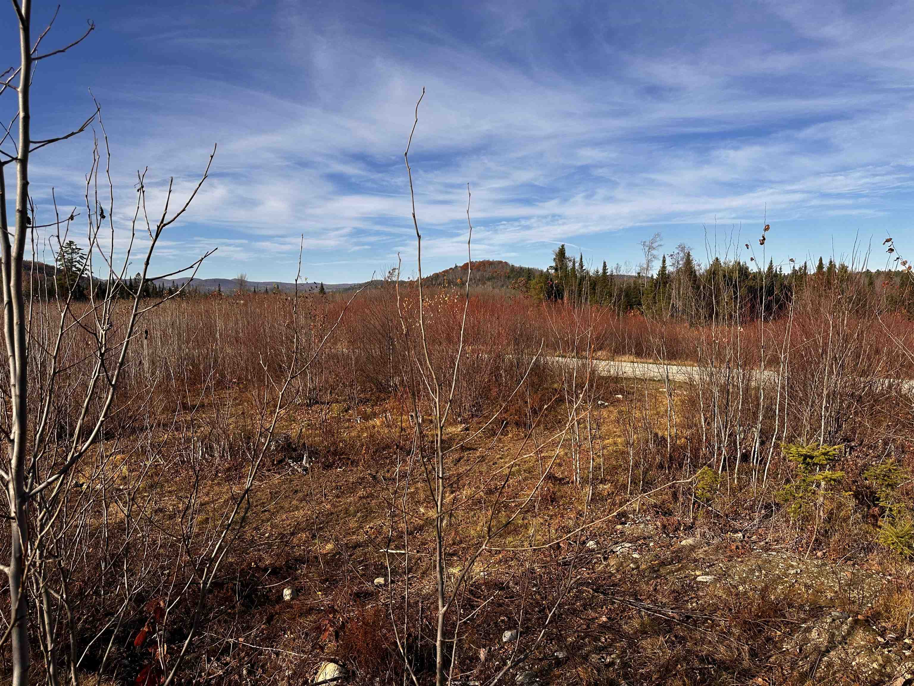 Tbd Mcintyre Road, Unit 7 Dalton, NH 03598 - Photo 5 of 19