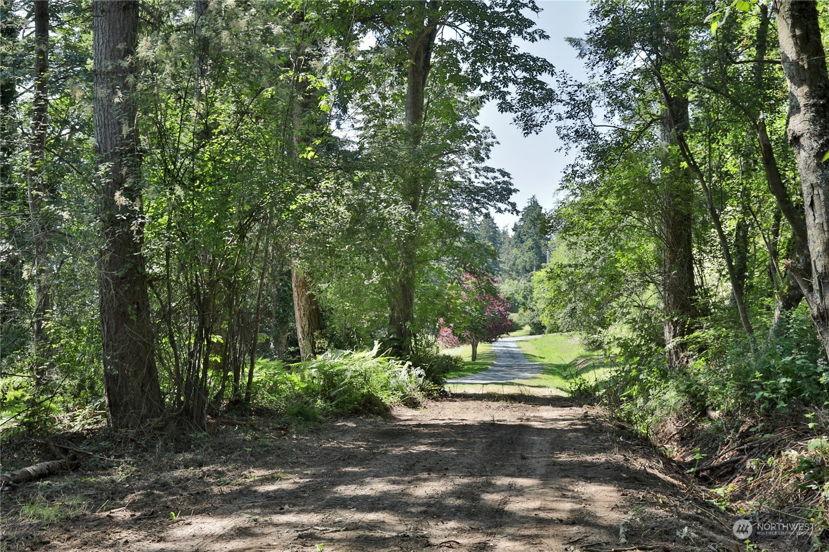 -xxx Lancaster Road Freeland, WA 98249 - Photo 11 of 40 Gallery Image 11