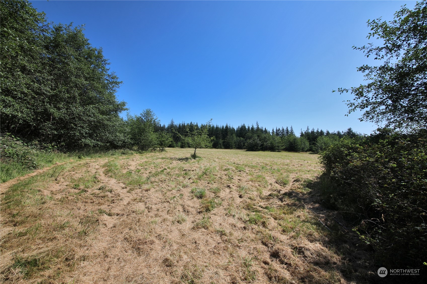 -xxx Lancaster Road Freeland, WA 98249 - Photo 14 of 40 Gallery Image 14