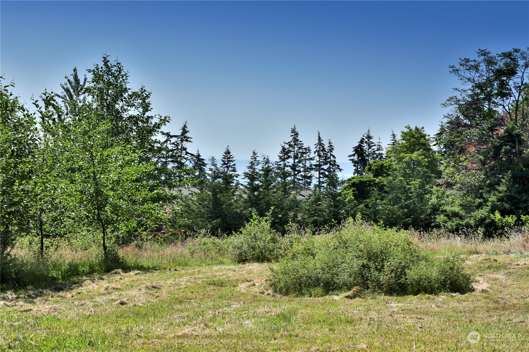 -xxx Lancaster Road Freeland, WA 98249 - Photo 20 of 40 Gallery Image 20