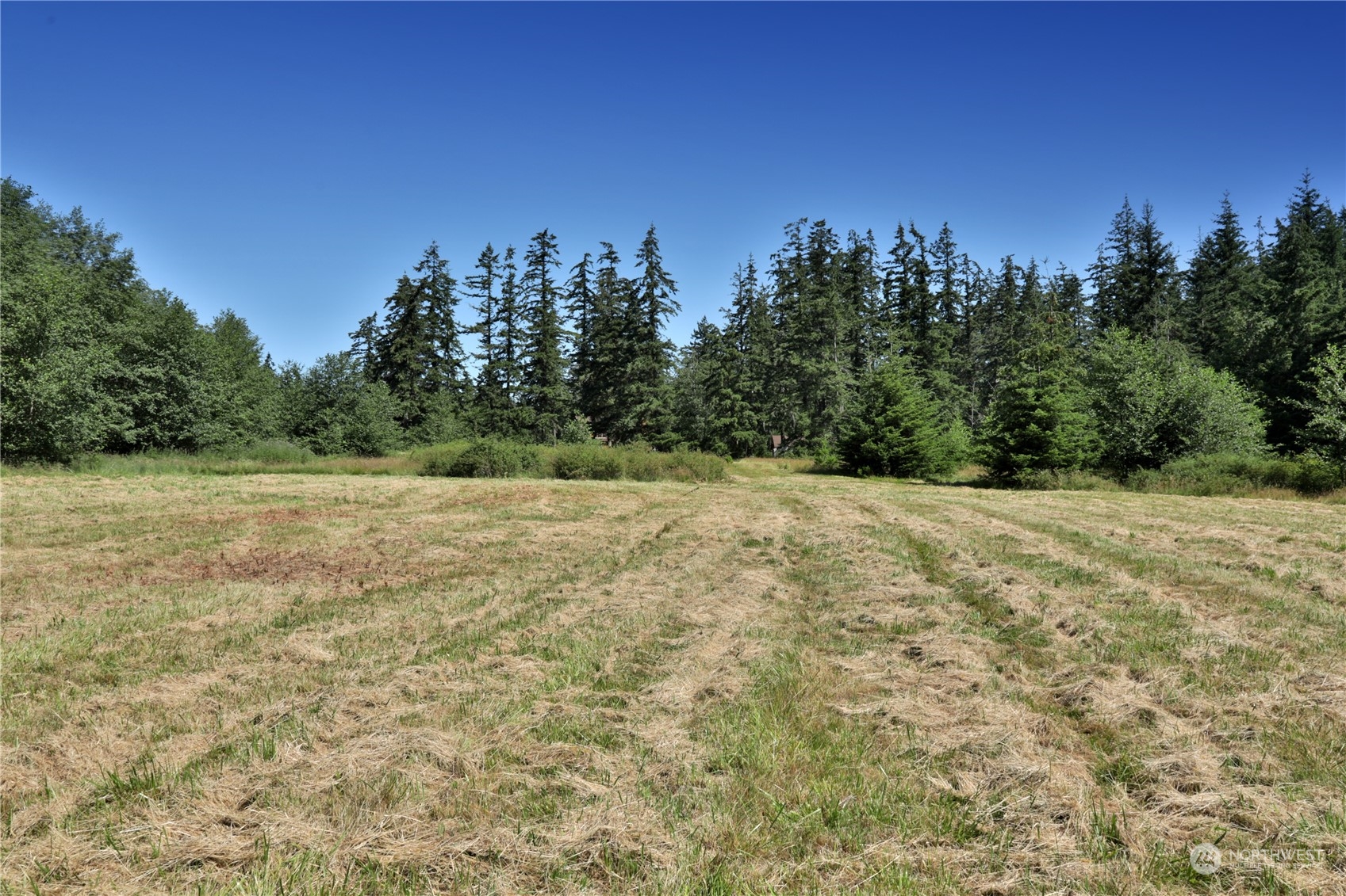 -xxx Lancaster Road Freeland, WA 98249 - Photo 21 of 40 Gallery Image 21