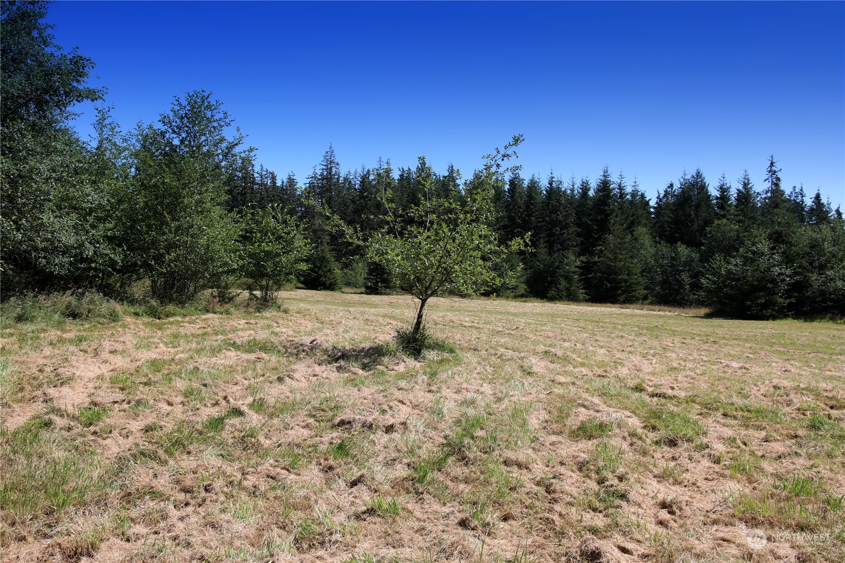 -xxx Lancaster Road Freeland, WA 98249 - Photo 29 of 40 Gallery Image 29
