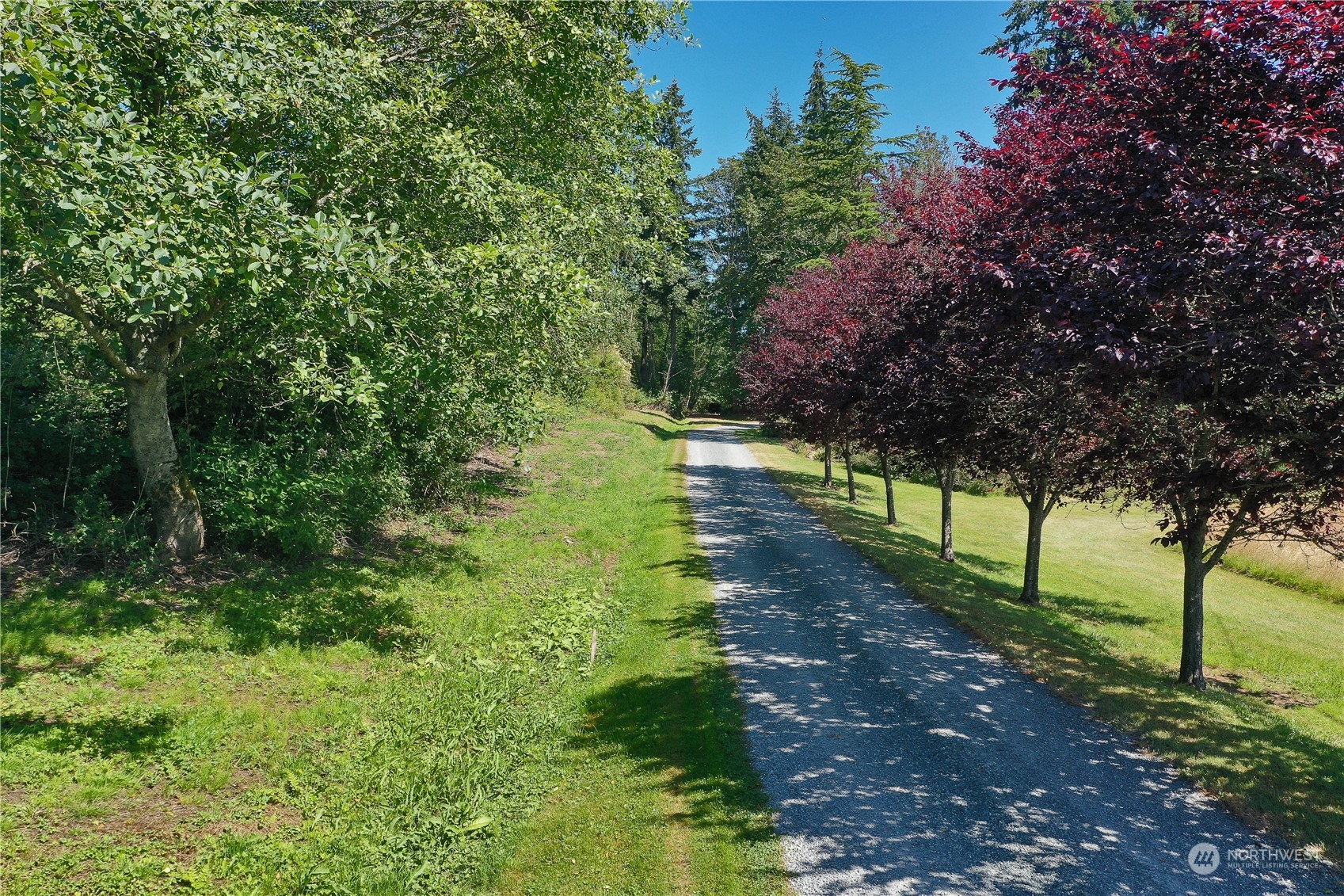 -xxx Lancaster Road Freeland, WA 98249 - Photo 10 of 40 Gallery Image 10