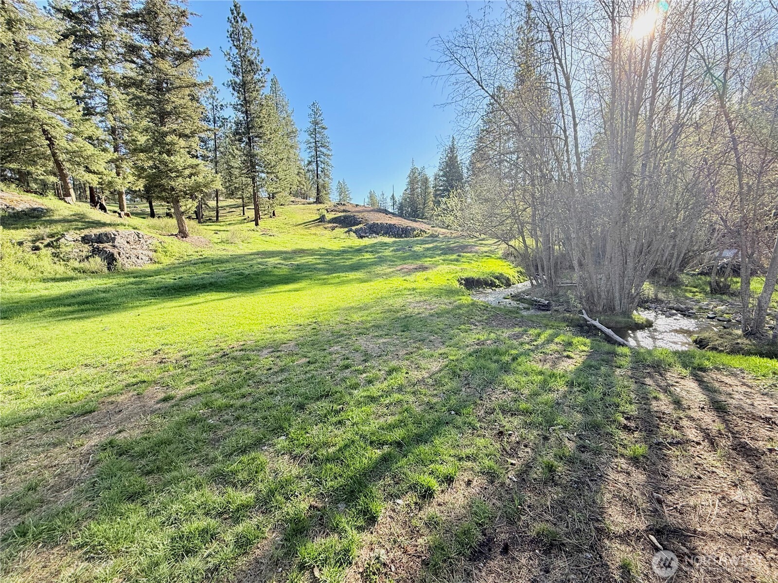 1092 Aeneas Valley Road Tonasket, WA 98855 - Photo 14 of 40 a view of yard with swimming pool and green space