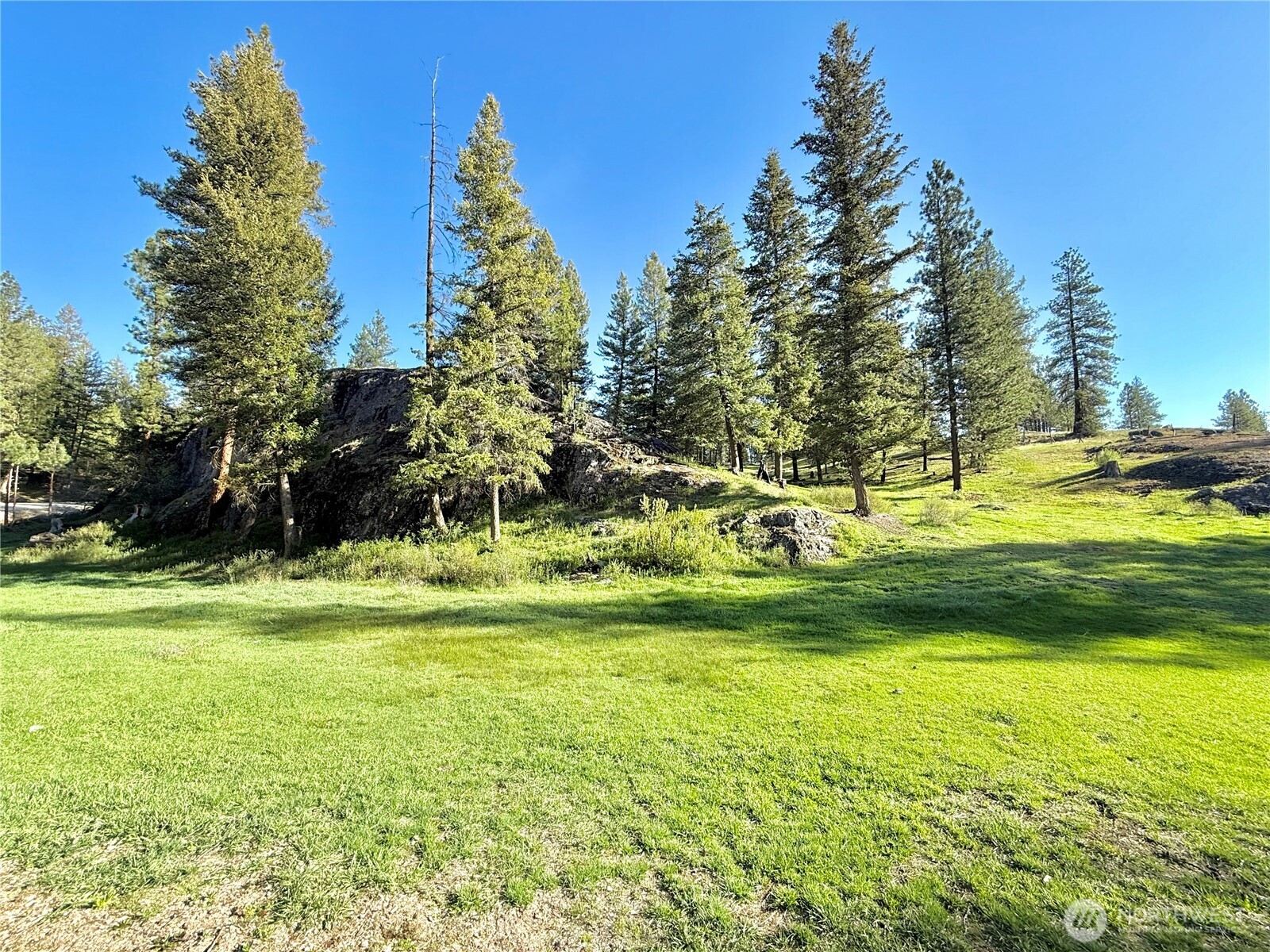 1092 Aeneas Valley Road Tonasket, WA 98855 - Photo 15 of 40 a view of a city