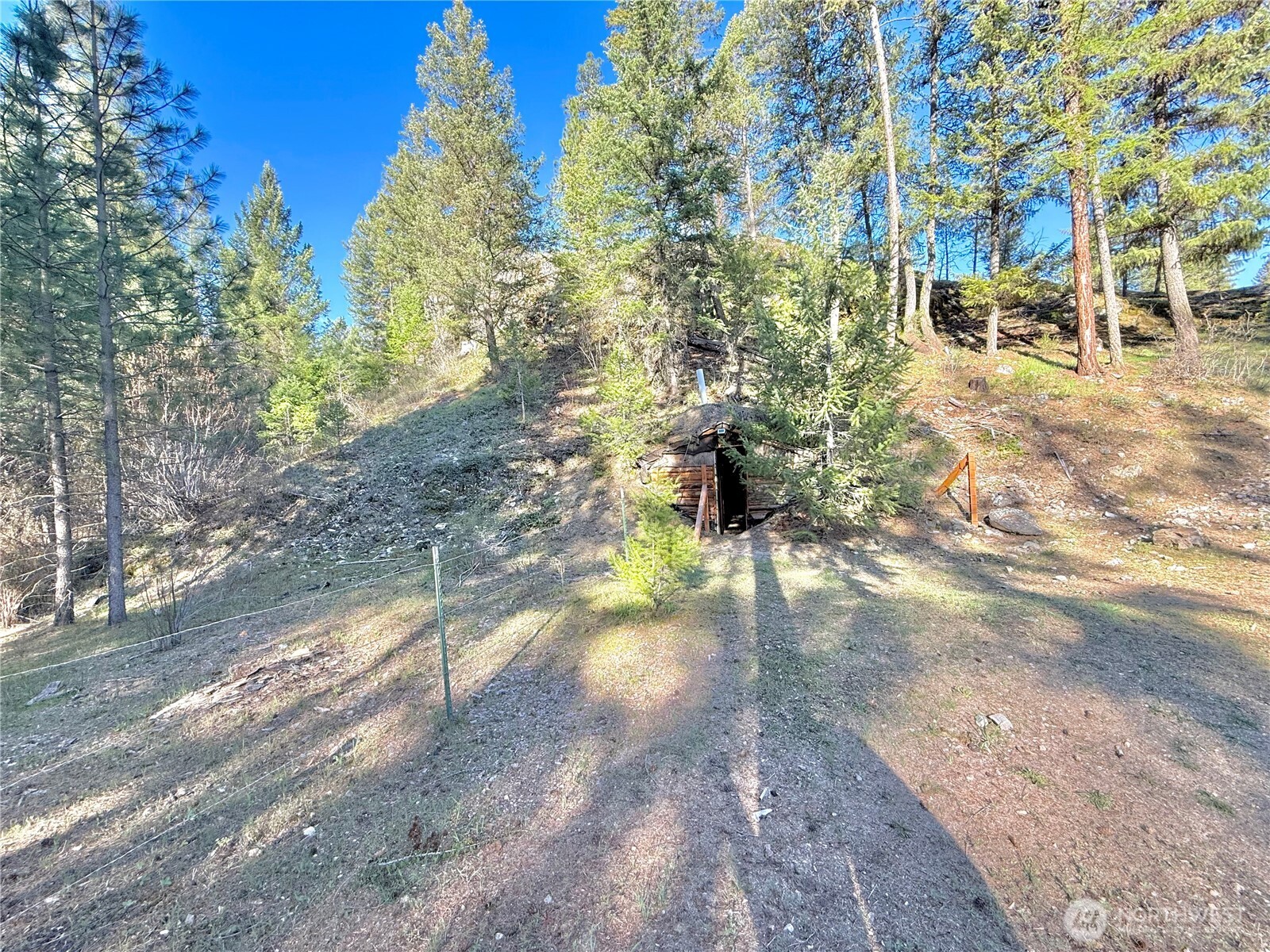 1092 Aeneas Valley Road Tonasket, WA 98855 - Photo 16 of 40 a view of yard