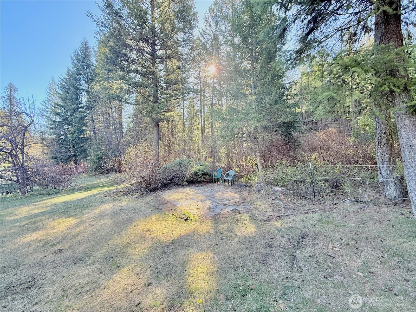 1092 Aeneas Valley Road Tonasket, WA 98855 - Photo 4 of 40 a view of a yard with trees