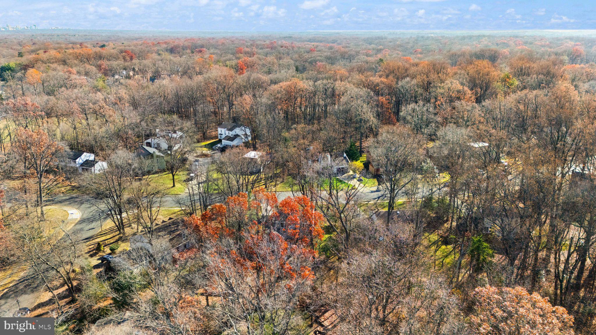 2420 Freetown Drive Reston, VA 20191 - Photo 54 of 58