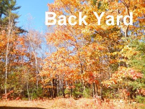 127 South River Road Greene, ME 04236 - Photo 26 of 35 Photo