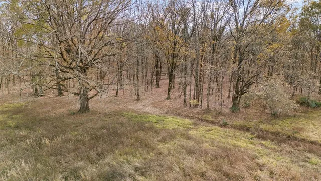 $590,000 | 1102 Cr 4111 Timpson Tx 75975, Timpson, TX 75975