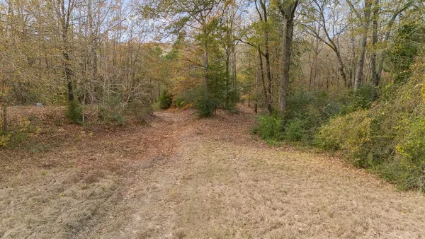 a view of a dry yard with green space