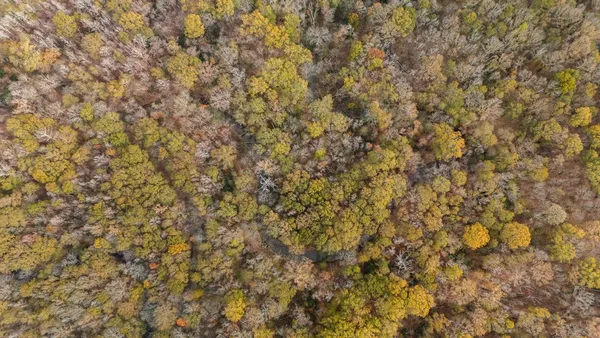 a view of a dry yard