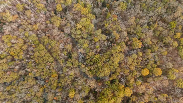 $590,000 | 1102 Cr 4111 Timpson Tx 75975, Timpson, TX 75975