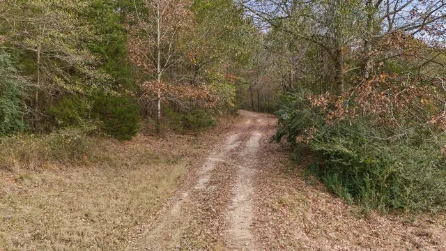 $590,000 | 1102 Cr 4111 Timpson Tx 75975, Timpson, TX 75975