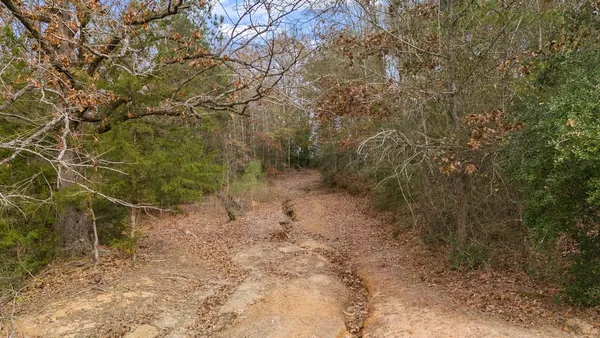 a close up of a wall with a dry yard