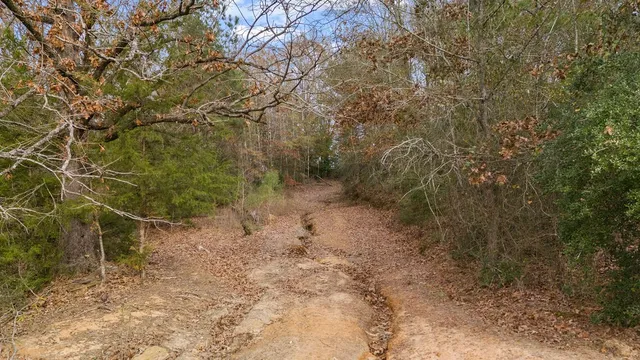 $590,000 | 1102 Cr 4111 Timpson Tx 75975, Timpson, TX 75975