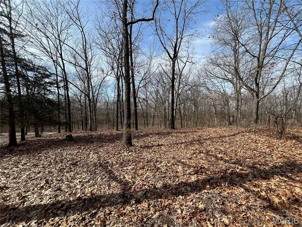 $360,000 | 0 Deer Run Road, Elsberry, MO 63343