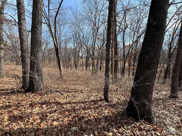 $360,000 | 0 Deer Run Road, Elsberry, MO 63343