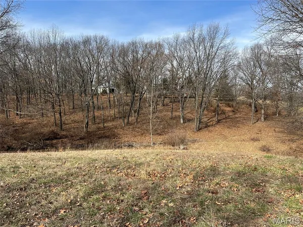 $360,000 | 0 Deer Run Road, Elsberry, MO 63343