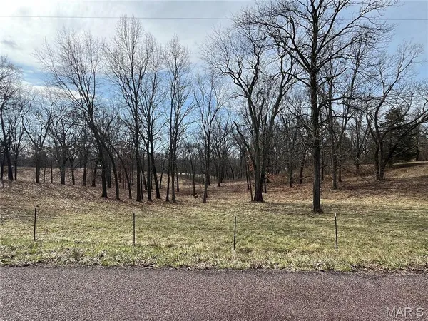 $360,000 | 0 Deer Run Road, Elsberry, MO 63343