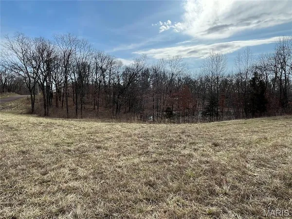 $360,000 | 0 Deer Run Road, Elsberry, MO 63343