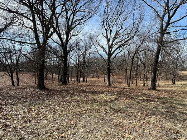 $360,000 | 0 Deer Run Road, Elsberry, MO 63343