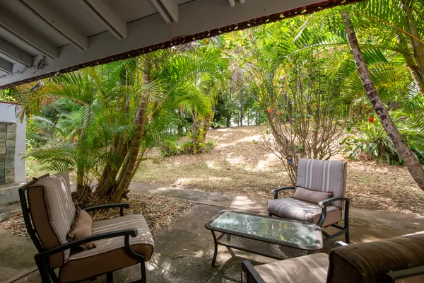 a view of a yard with furniture
