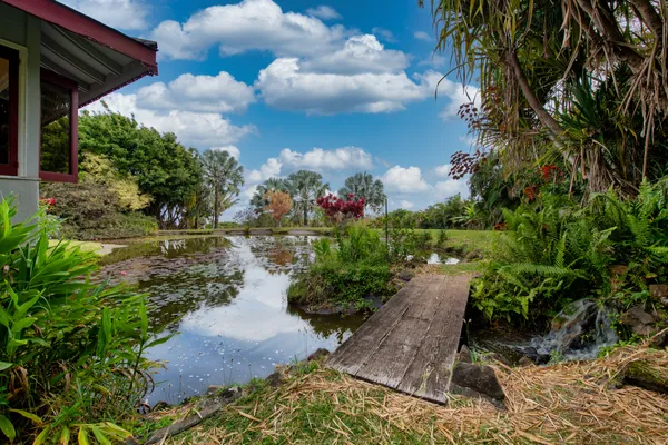 a view of a pathway with a yard