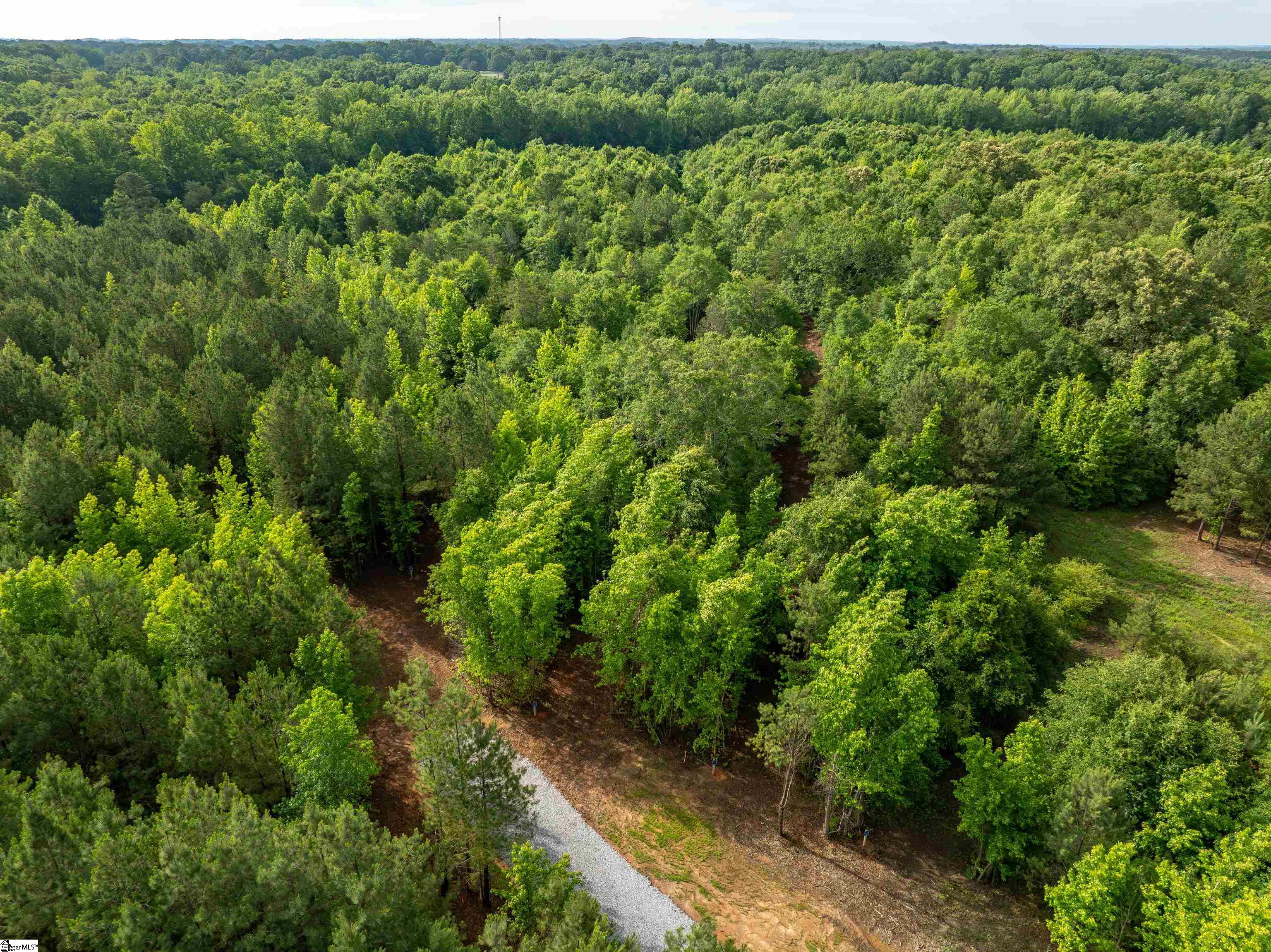 0 Terry Road, Unit LOT 7 Fountain Inn, SC 29644 - Photo 10 of 32 Gallery Image 10