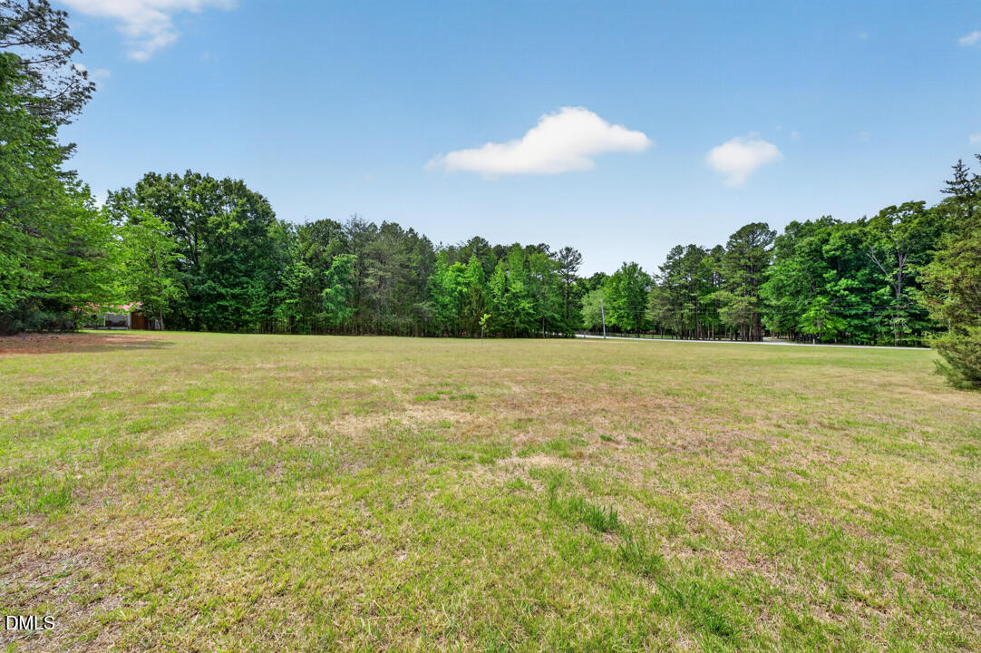 184 Fire Tower Drive Rougemont, NC 27572 - Photo 36 of 41
