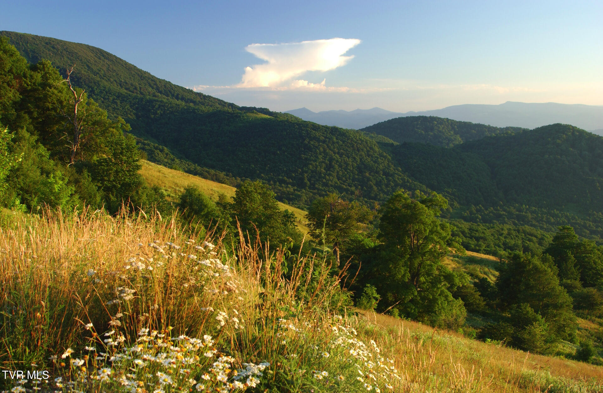 C614 Buffalo Nvno Road, Unit C614 Trade, TN 37691 - Photo 14 of 35 9